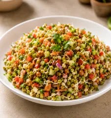 Sprouts Salad - Shivas Special - Large